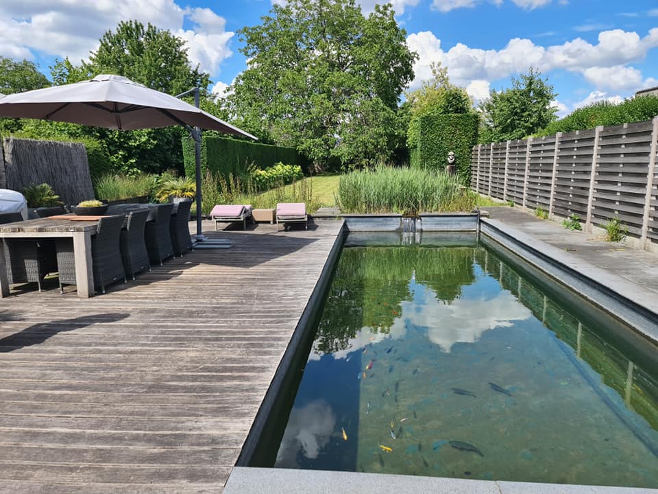 vijveraanleg tuin